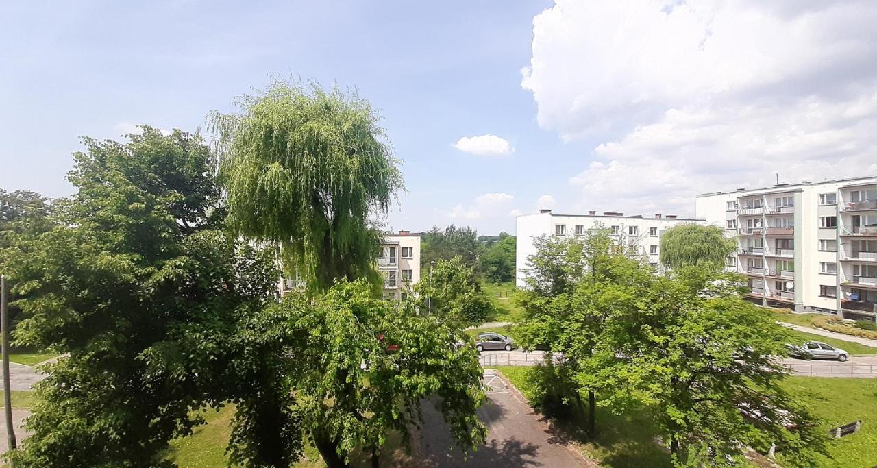 Bursztynowy Apartament Tarnowskie Gory Bagian luar foto